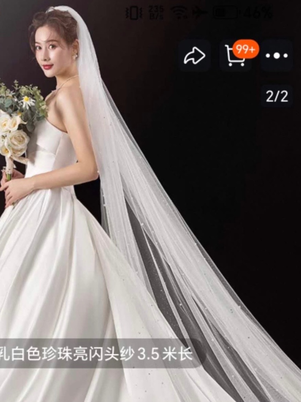 3.5-meter-long shimmering cathedral length wedding veil with pearls (New)